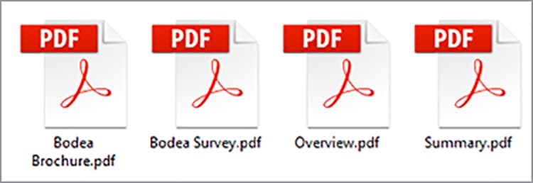 Screenshot of PDF file icons