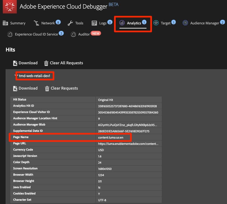 Debugger with a Page View