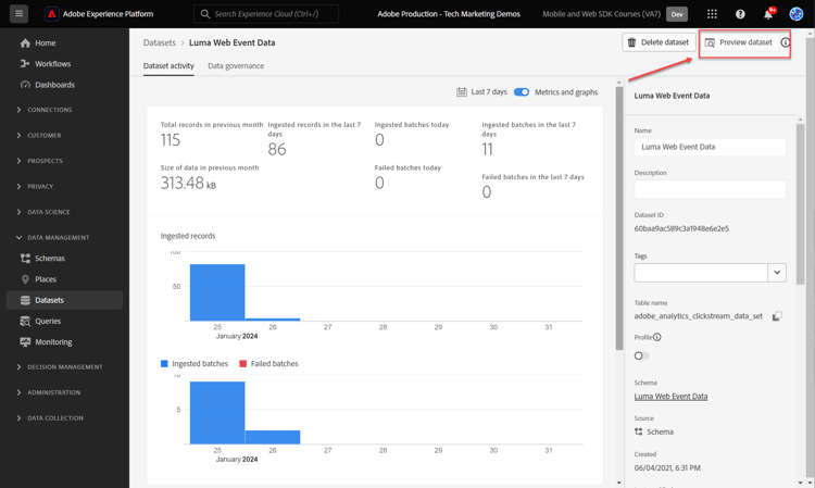 Dataset Preview