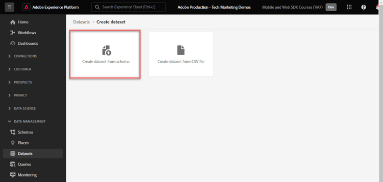 Create dataset from schema