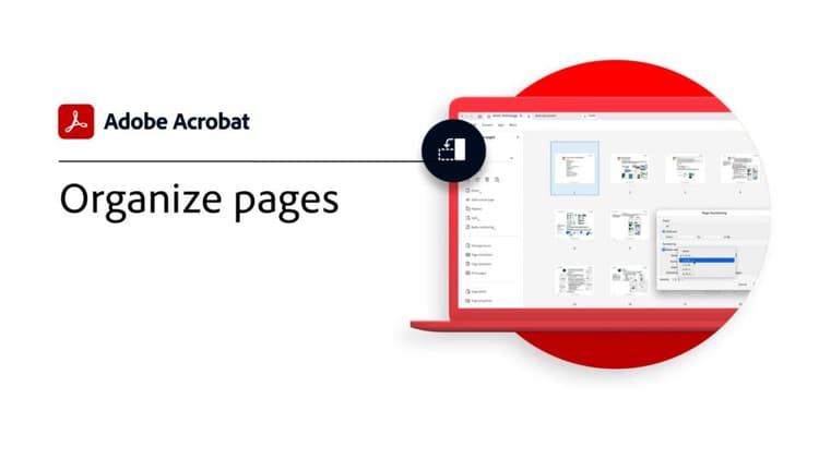 Organize Pages